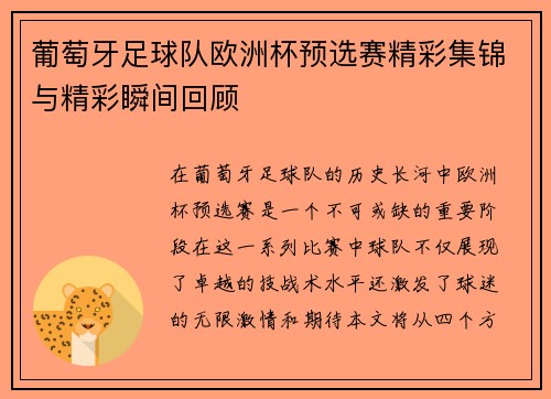 葡萄牙足球队欧洲杯预选赛精彩集锦与精彩瞬间回顾